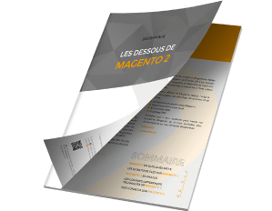 Livre blanc Magento 2